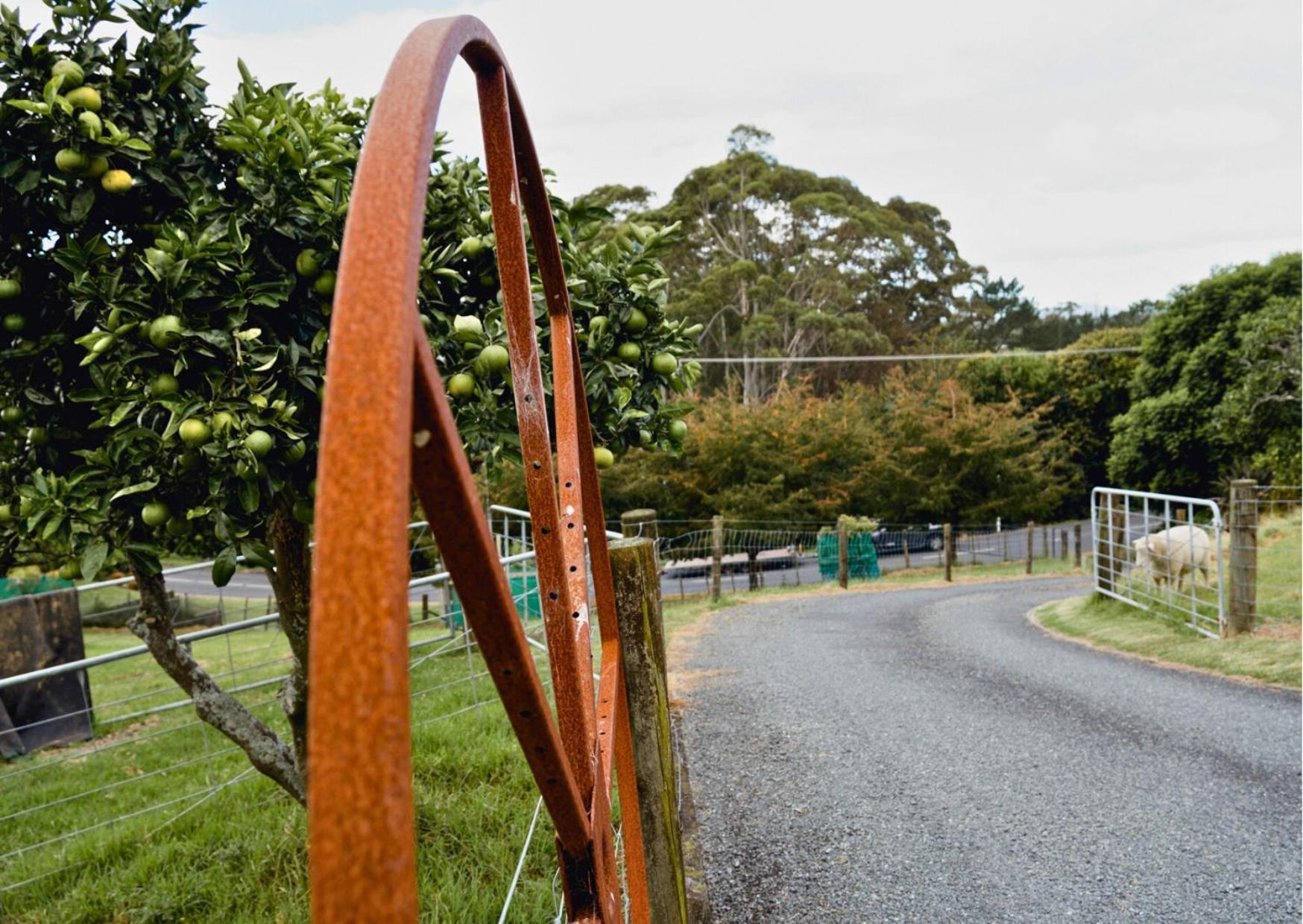 Minden Meadows Retreat Otel Tauranga Dış mekan fotoğraf